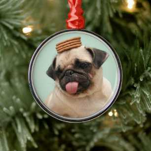 Pug Wants Treats Metal Ornament