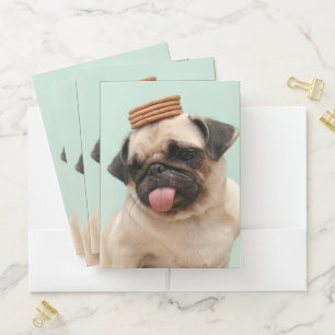 Pug Wants Treats Pocket Folder