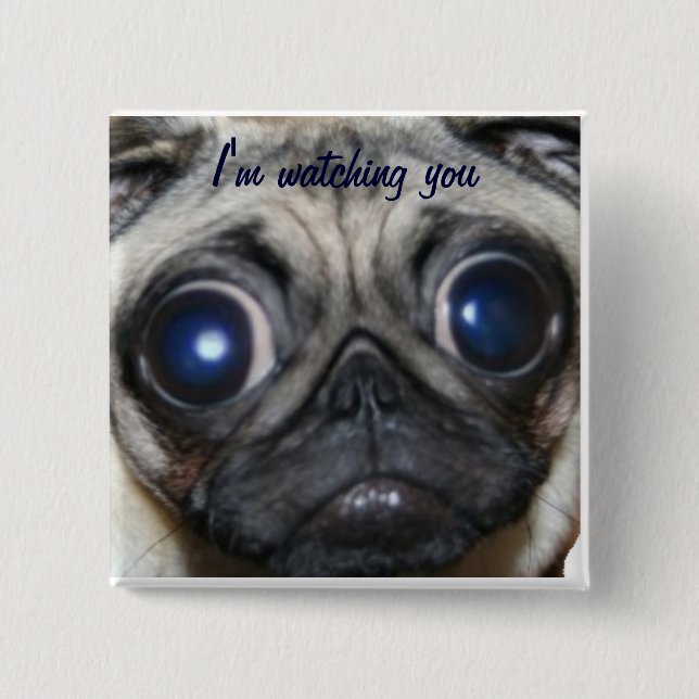 Pug Watching You Pinback Button (Front)