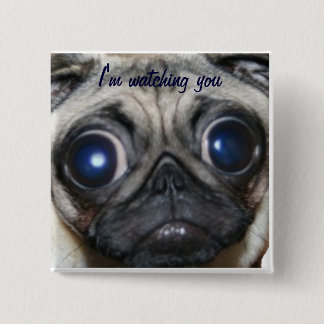 Pug Watching You Pinback Button