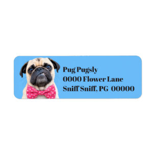 Pug Wearing Pink Bow Label
