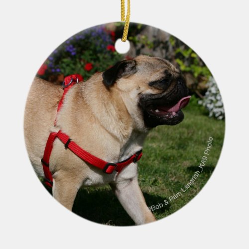 Pug Wearing Red Harness Ceramic Ornament