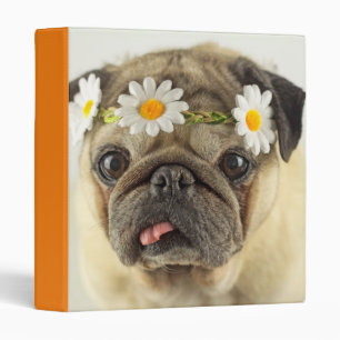 Pug with Daisy Crown 3 Ring Binder