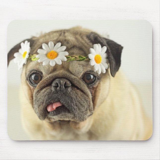 Pug with Daisy Crown Mouse Pad (Front)
