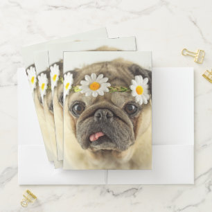 Pug with Daisy Crown Pocket Folder
