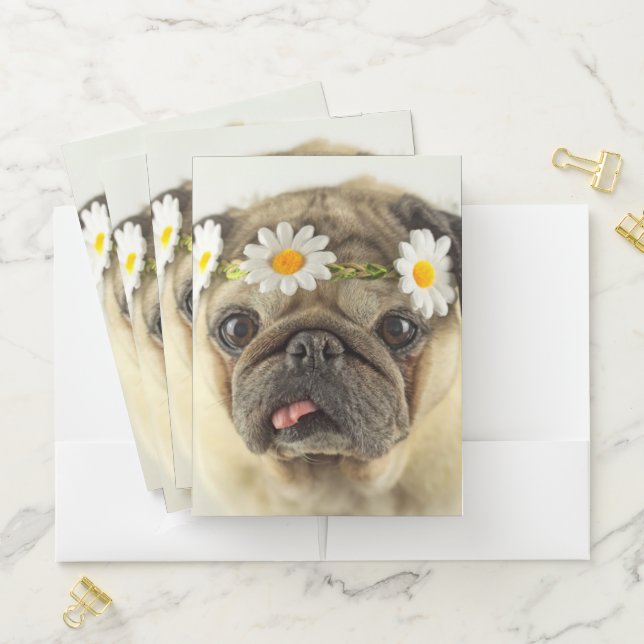 Pug with Daisy Crown Pocket Folder (In Situ)