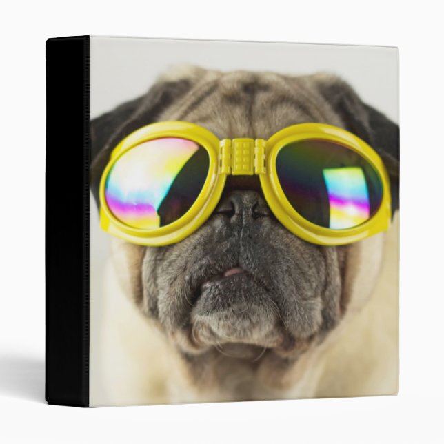 Pug with Goggles 3 Ring Binder (Front/Spine)