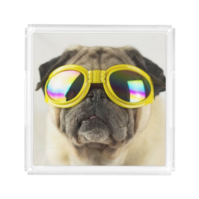 Pug with Goggles Acrylic Tray (Front)