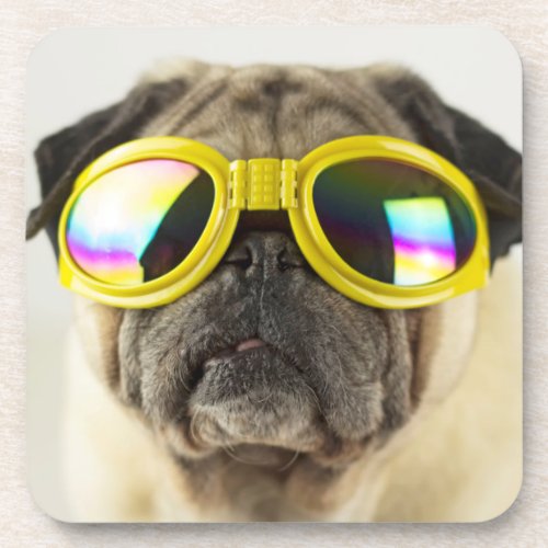 Pug with Goggles Beverage Coaster