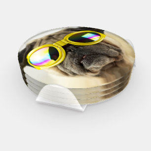 Pug with Goggles Coaster Set