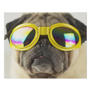 Pug with Goggles Faux Canvas Print