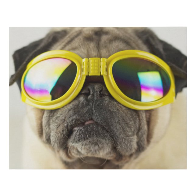 Pug with Goggles Faux Canvas Print (Front)