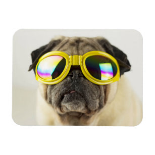 Pug with Goggles Magnet