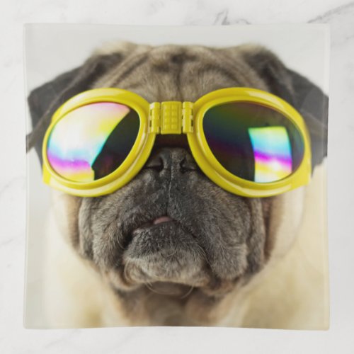 Pug with Goggles Trinket Tray