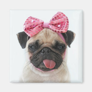 Pug with Pink Bow Magnet