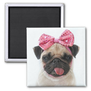 Pug with Pink Bow Magnet