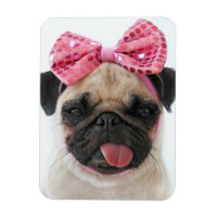 Pug with Pink Bow