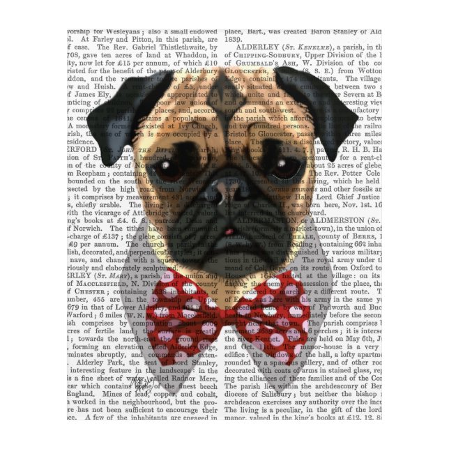 Pug with Red and White Spotty Bow Tie Acrylic Print (Front)