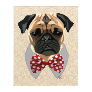 Pug with Red and White Spotty Bow Tie Acrylic Print