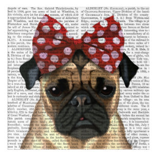 Pug with Red Spotty Bow On Head Acrylic Print