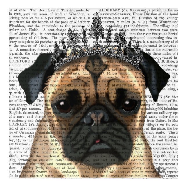 Pug With Tiara Acrylic Print (Front)
