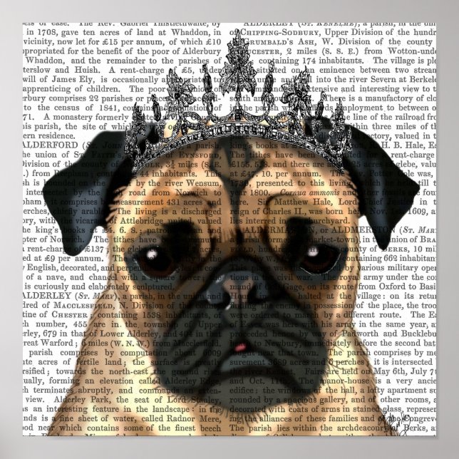 Pug With Tiara Poster (Front)