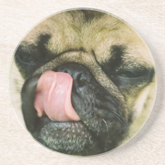 Pugalicious Coaster (Front)