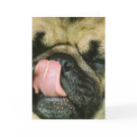 Pugalicious Greeting Card