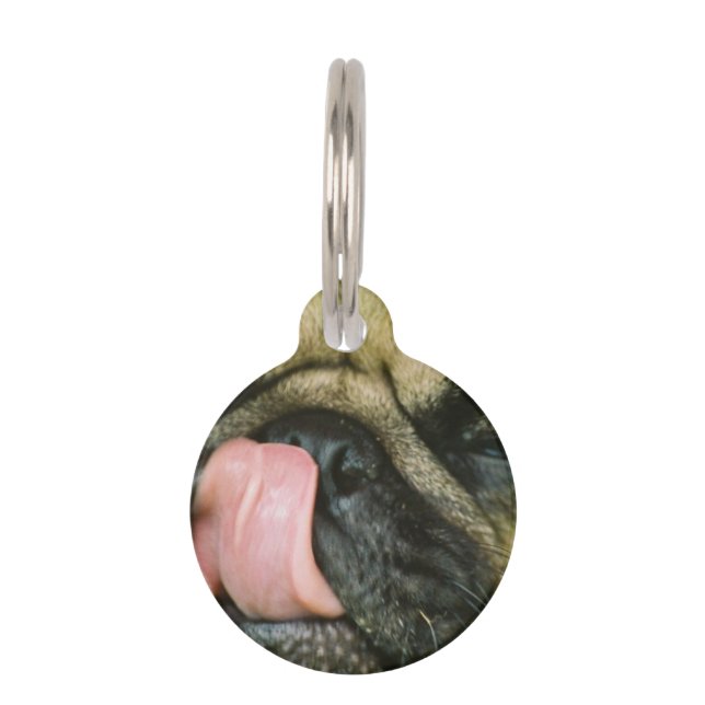 Pugalicious Pet Name Tag (Front)