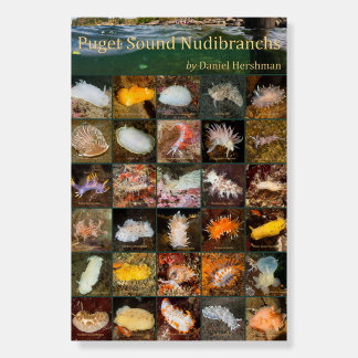 Puget Sound Nudibranchs 12x18 Foam Board