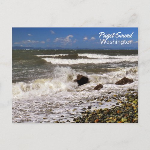 Puget Sound Washington Beach Photo Postcard