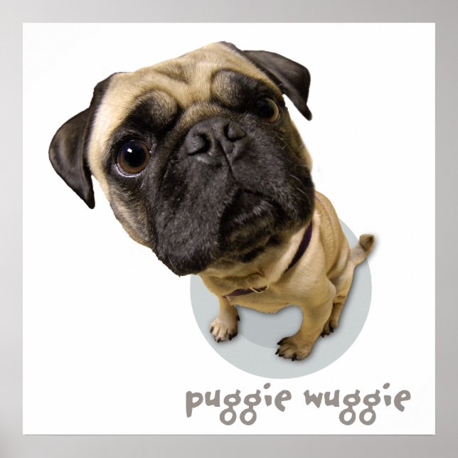 Puggie Wuggie Poster (Front)