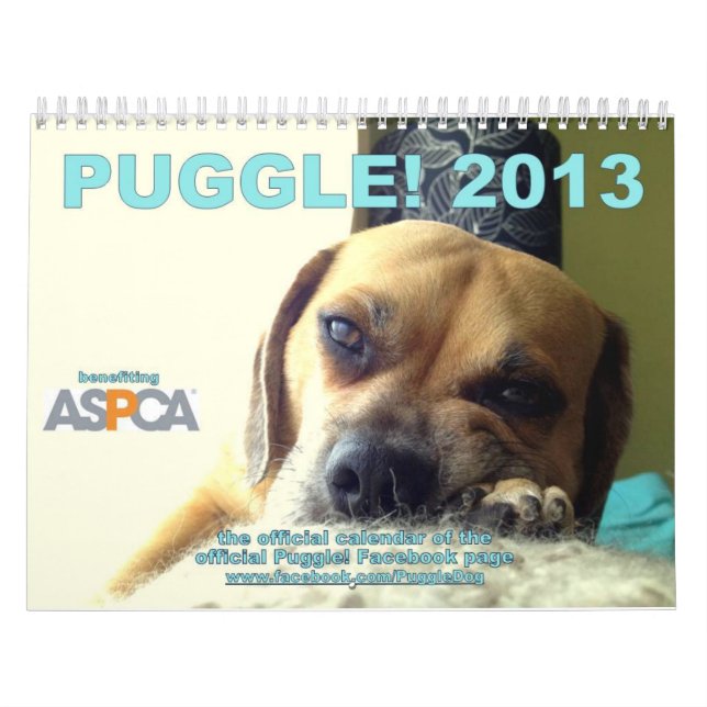 Puggle! 2013 Calendar (Cover)
