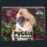 Puggle! 2019 Calendar<br><div class="desc">This is the official Puggle! 2019 Calendar, benefiting ASPCA! Photos are chosen by the 37, 000 fans of the official Puggle! page on Facebook. *LIKE* us to get regular updates of adorable puggle pictures in your newsfeed daily! www.facebook.com/PuggleDog</div>