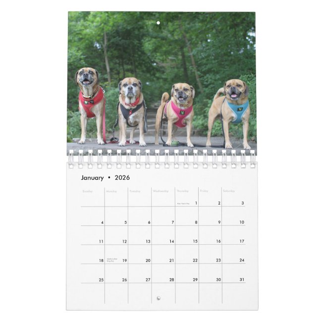 PUGGLE 2020 CALENDAR (Jan 2026)