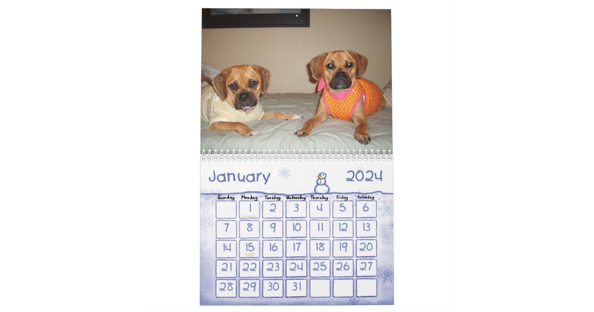 Puggle Calendar Zazzle