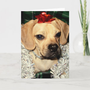 Puggle! Christmas Card