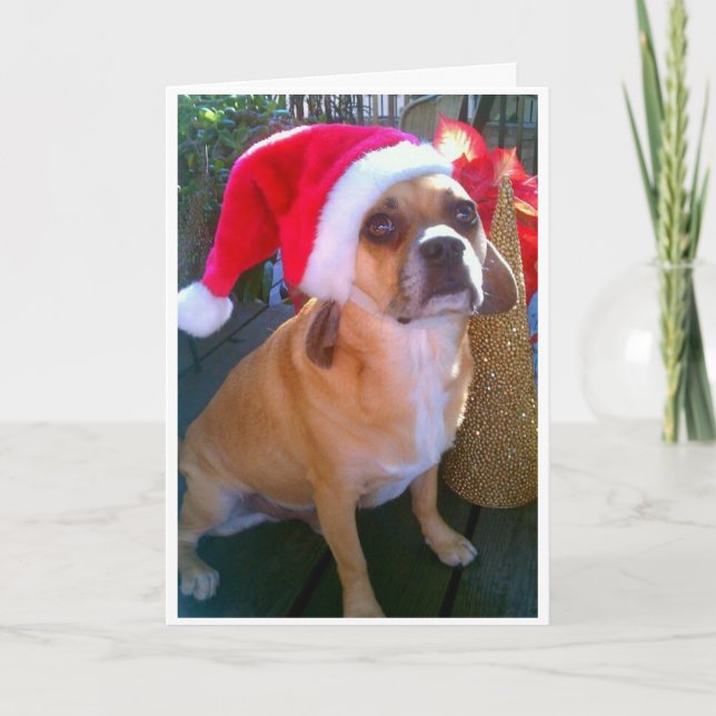 Puggle! Christmas Card (Front)