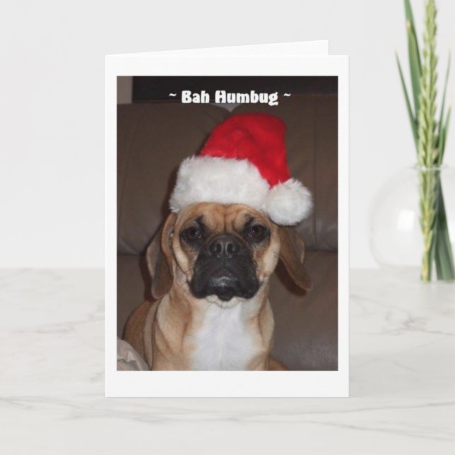 Puggle! Christmas Card (Front)