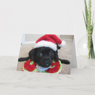 Puggle! Christmas Card