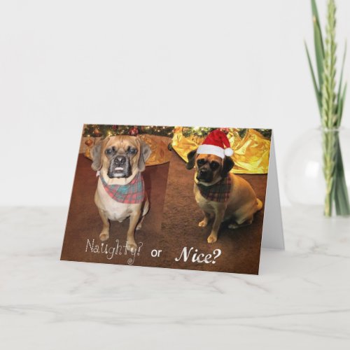 Puggle Christmas Card