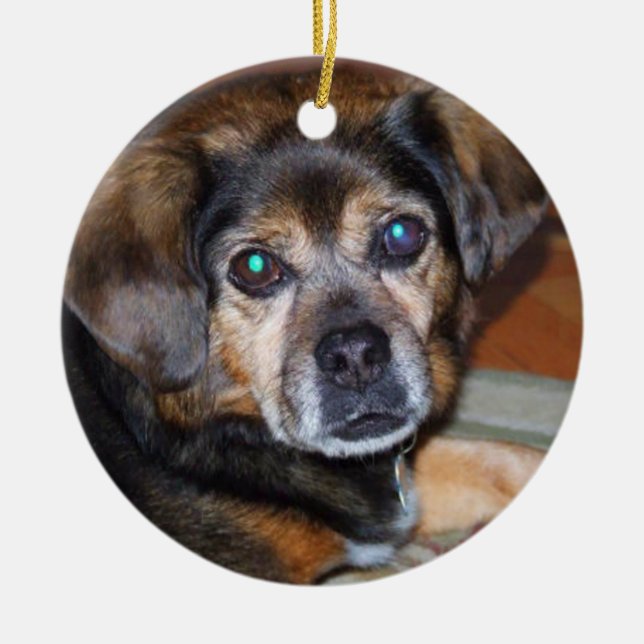 Puggle Dog Chrstmas Ornament (Front)