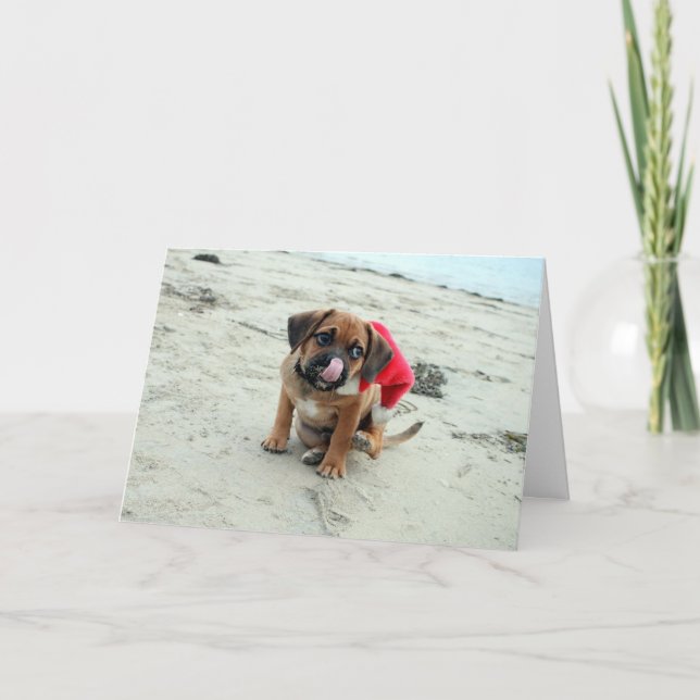 Puggle! Holiday Card (Front)