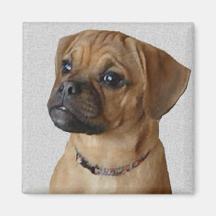 Puggle Lovers Gifts Magnet