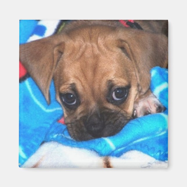 Puggle Magnet (Front)