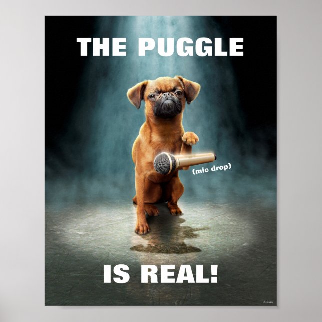 Puggle Mic Drop Poster (Front)