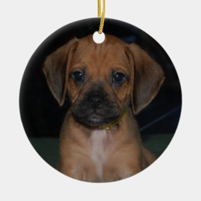 puggle ornament (Front)