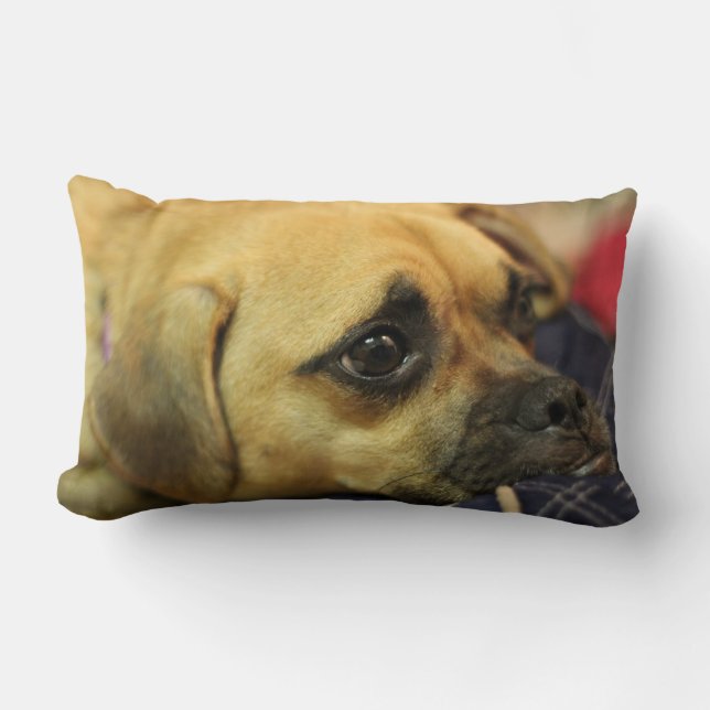 Puggle pillow (Front)