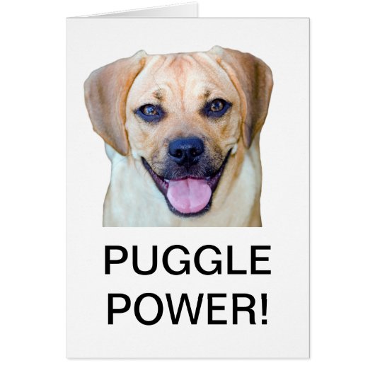 Puggle Power! Cards (Front)