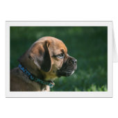 puggle profile (Front Horizontal)